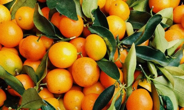 ¿Cuántas calorías tiene una naranja? ¿Y sus diferentes tipos?